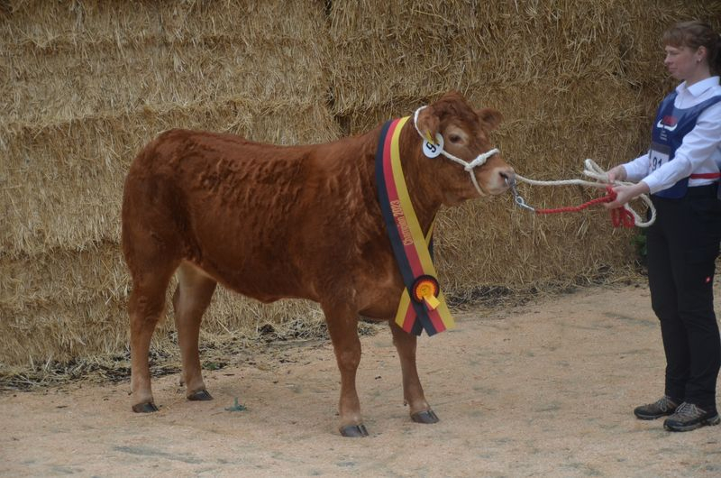 Groß Kreutz 2023